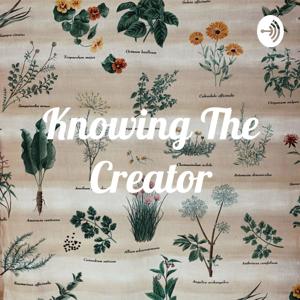 Knowing The Creator with Vashti G.