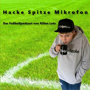 Hacke Spitze Mikrofon