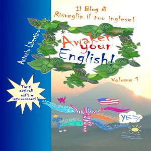 Il Blog di Awaken Your English - Volume 1