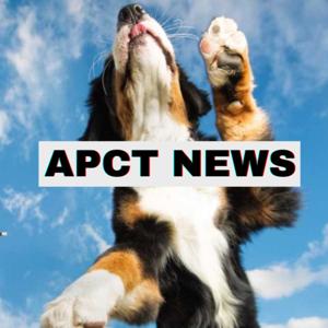 The APCT Report