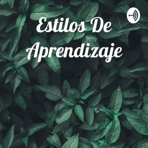 Estilos De Aprendizaje