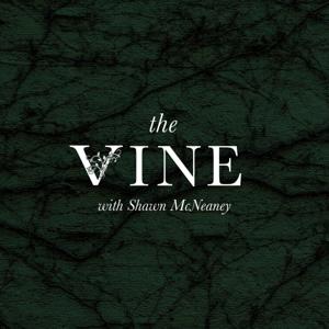 The Vine