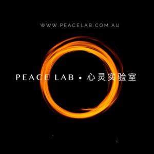 Peace Lab 2020