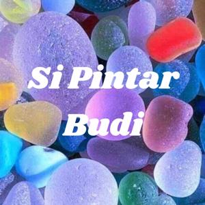 Si Pintar Budi
