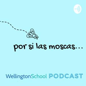 Por si las moscas. Wellington School