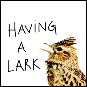 Having a Lark
