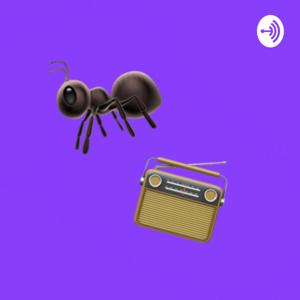 ant radio