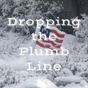 Dropping the Plumb Line