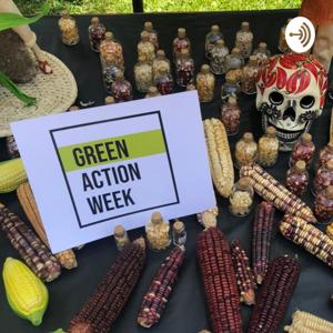 Green Action Week MX 2020