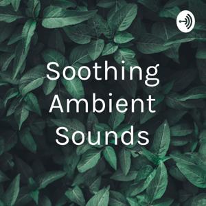 Soothing Ambient Sounds