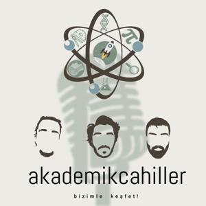 Akademik Cahiller