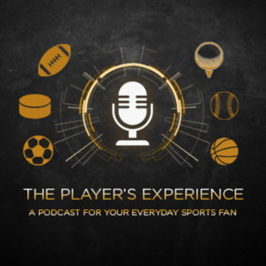 The Player's Experience