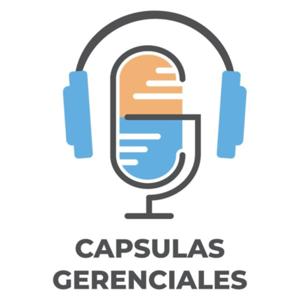 Cápsulas Gerenciales