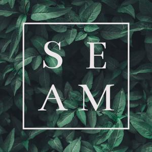 The Seam Podcast by The Seam, Lynne Cohen Foundation