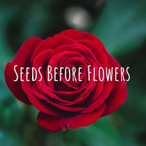Seeds Before Flowers