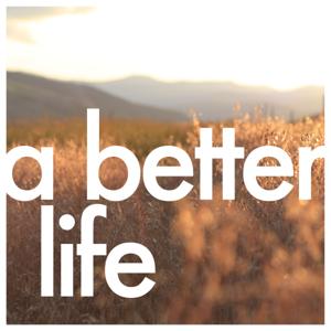 A Better Life