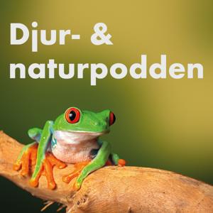 Djur- & naturpodden