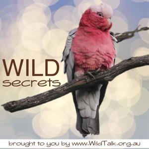 Wild Secrets