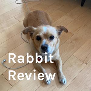 Rabbit Review