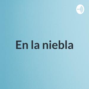 En la niebla - Presentación