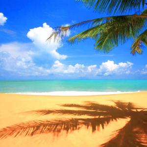 Life's A Beach Podcast