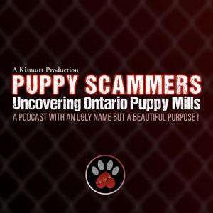 Puppy Scammers