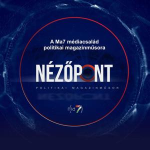 Nézőpont