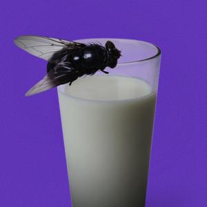 Mosca Mecânica