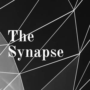 The Synapse