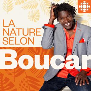 La nature selon Boucar