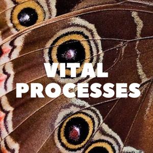 Vital Processes