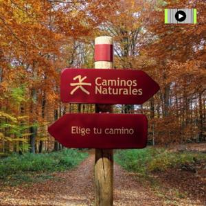 CAMINOS NATURALES