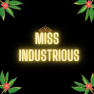 Miss Industrious