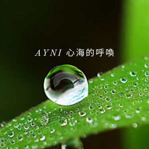 Ayni 心海的呼喚