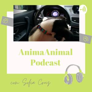 Animaanimal Podcast