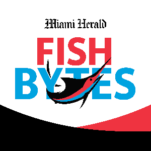 Fish Bytes