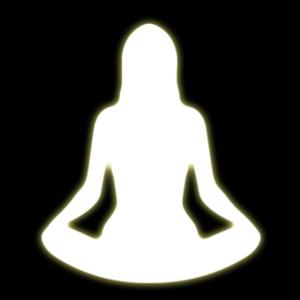 The Meditation Guru