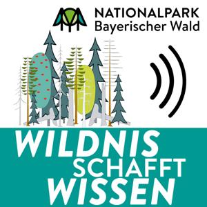 Wildnis schafft Wissen