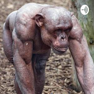 Muscular Ape Podcast