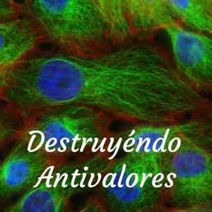 Destruyéndo Antivalores