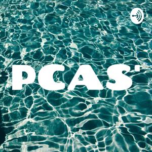 IPCAST