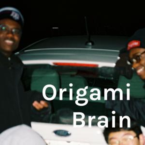 Origami Brain