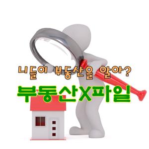 부동산X파일