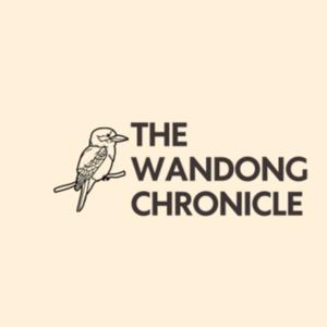 The Wandong Chronicle by Riley Dyson