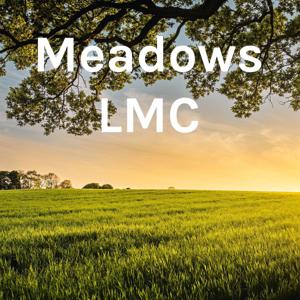 Meadows LMC