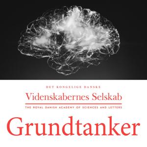 Grundtanker by Videnskabernes Selskab