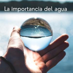 Implicaciones Ambientales Y Sociales De La Contaminación Por La Industria