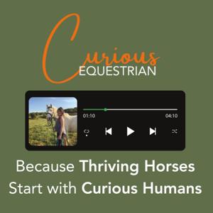 Curious Equestrian