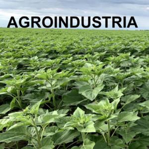 Agroindustria