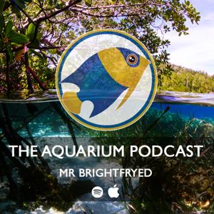 The Aquarium Podcast (Mr Brightfryed) by MR BRIGHTFRYED